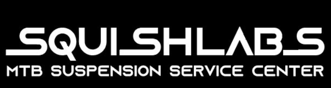 Squishlabs logo